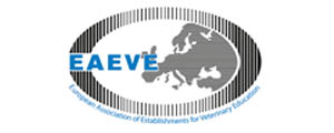 Eaeve